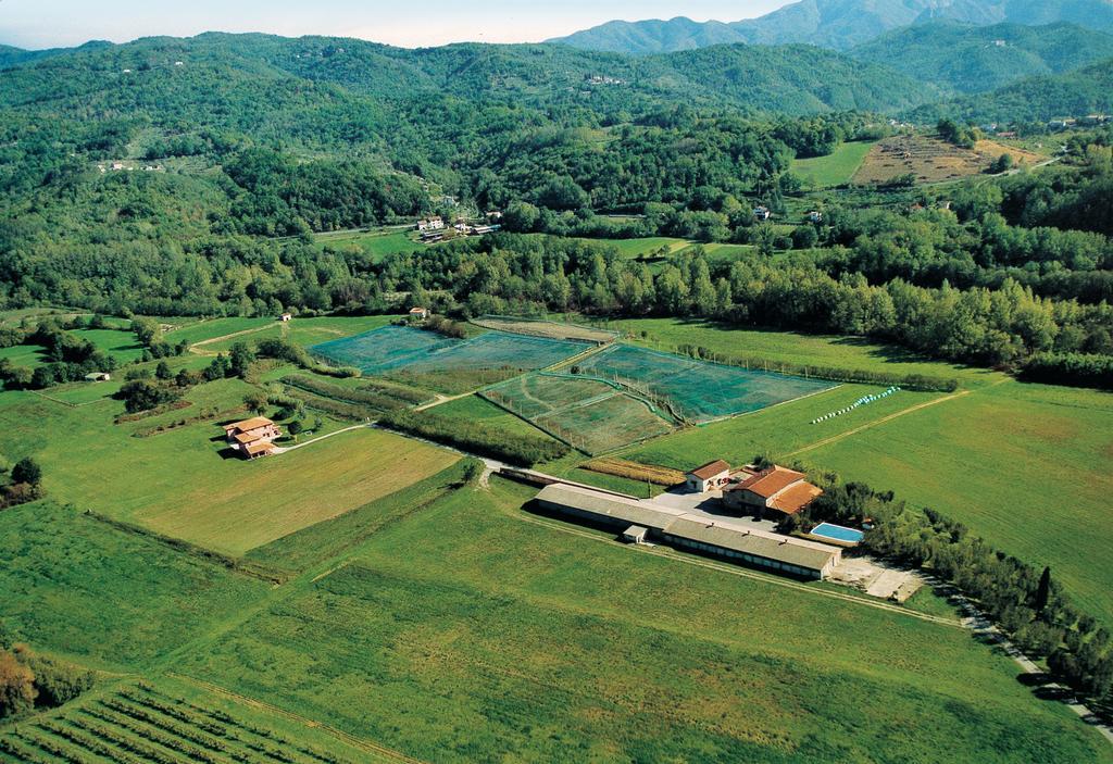 Agriturismo La Praduscella فيفيزانو المظهر الخارجي الصورة