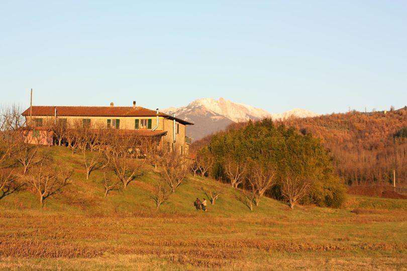 Agriturismo La Praduscella فيفيزانو المظهر الخارجي الصورة
