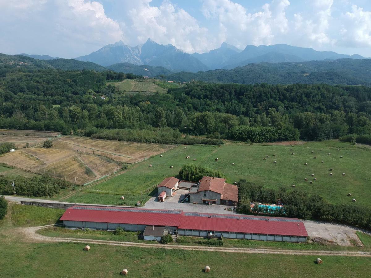 Agriturismo La Praduscella فيفيزانو المظهر الخارجي الصورة